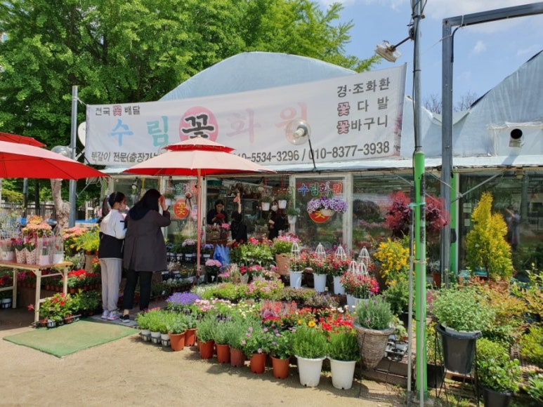 수림화원 이미지