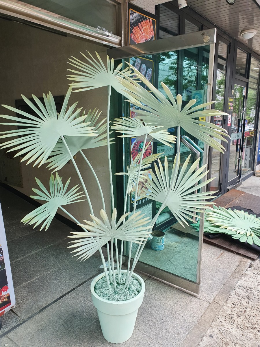 씨제이플라워 이미지