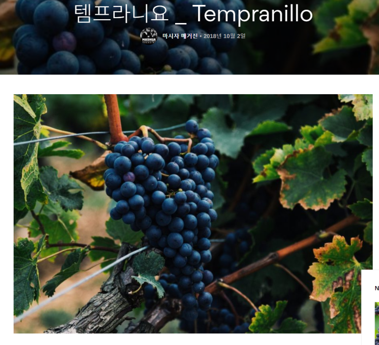 띤또(Tinto) 이미지