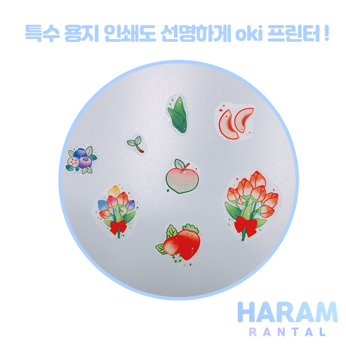 선명디자인 이미지