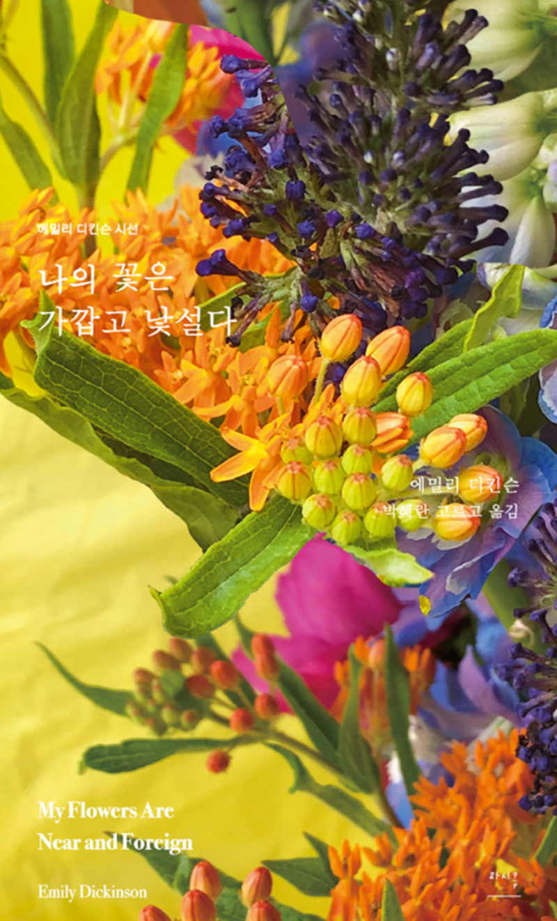 씨스페이스 이미지