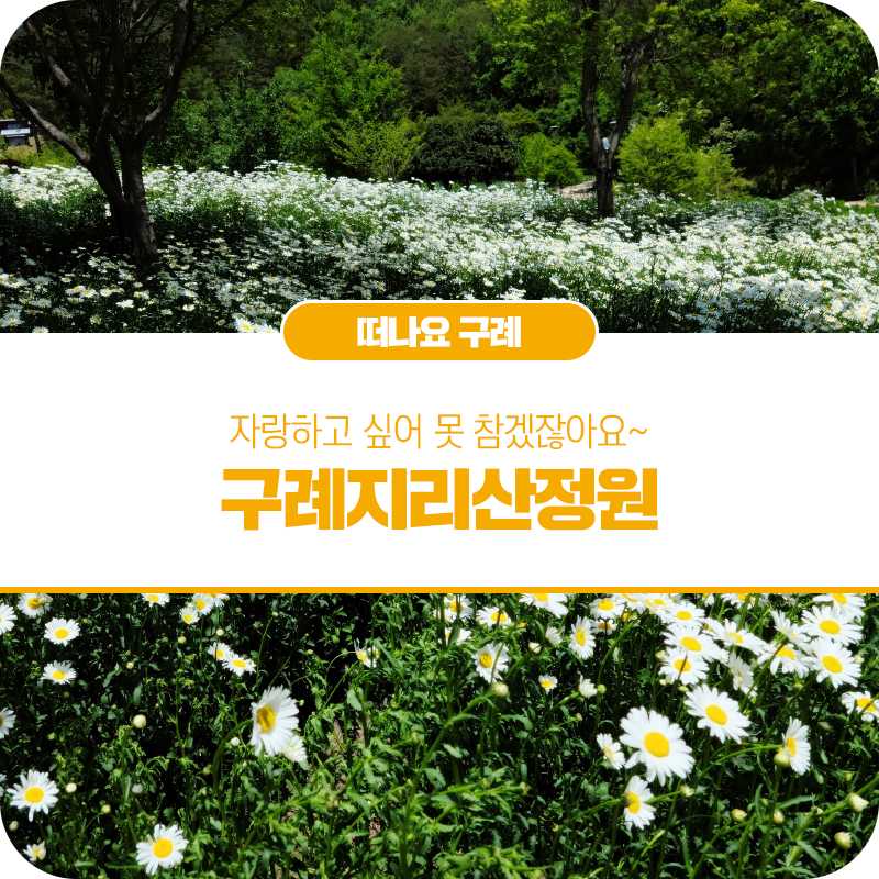 지리산정원 유아숲체험원 이미지