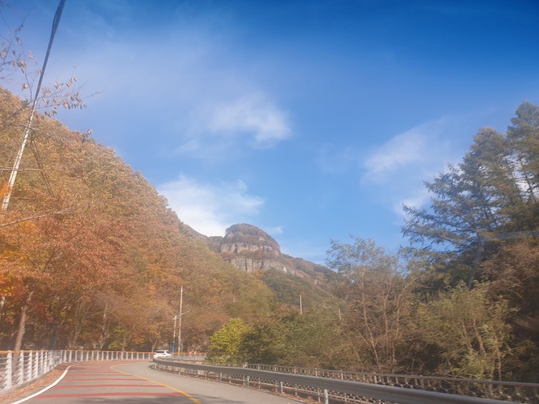 개별화물 이미지