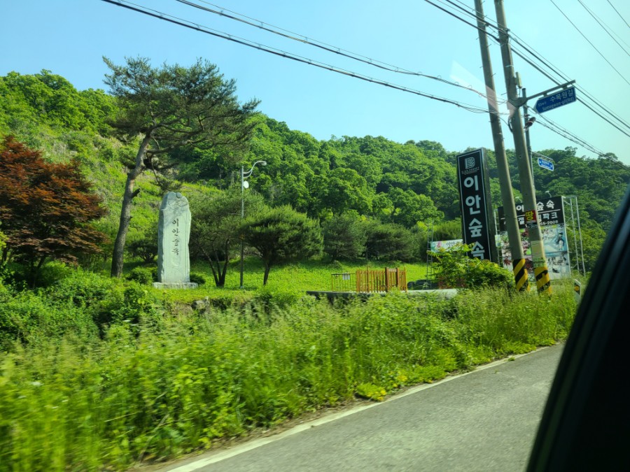 이안카라반 이미지