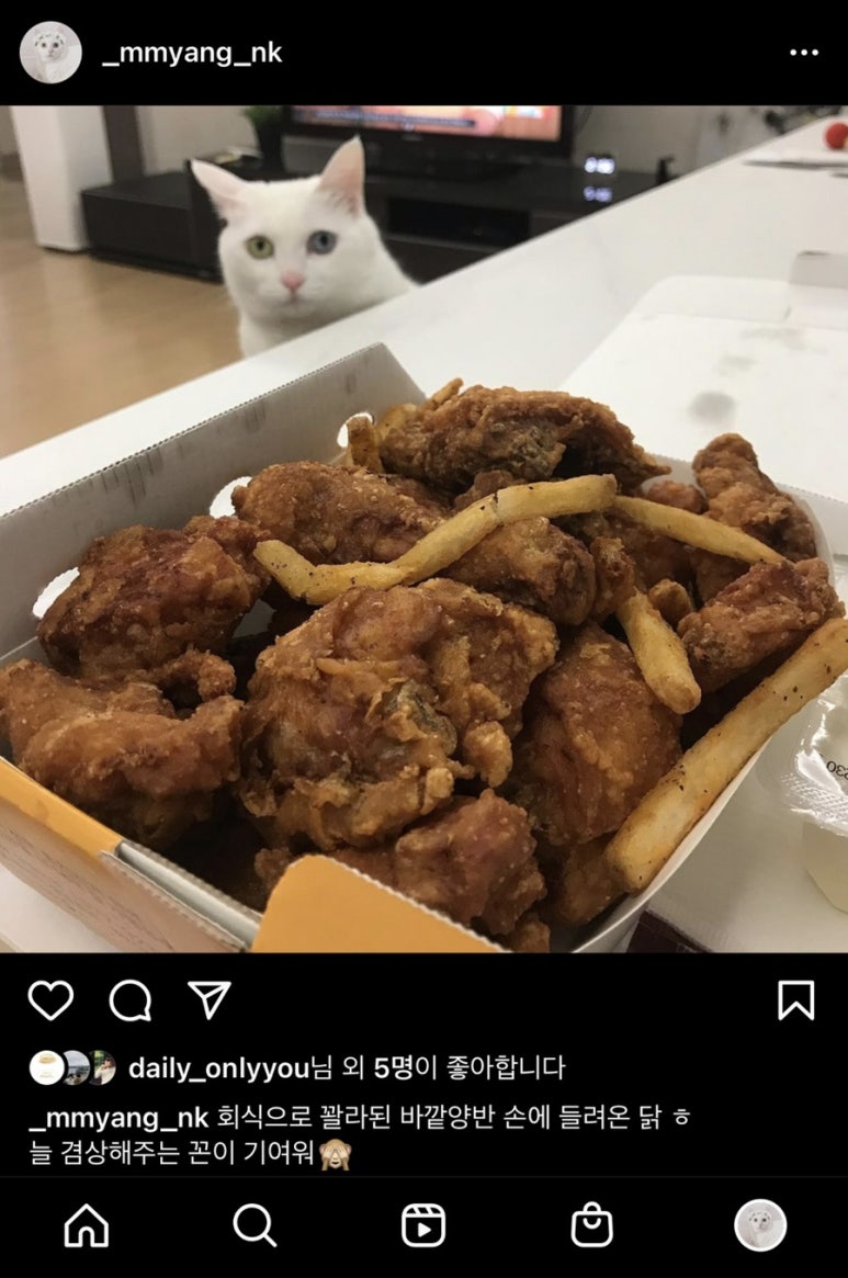 구구닭집 이미지