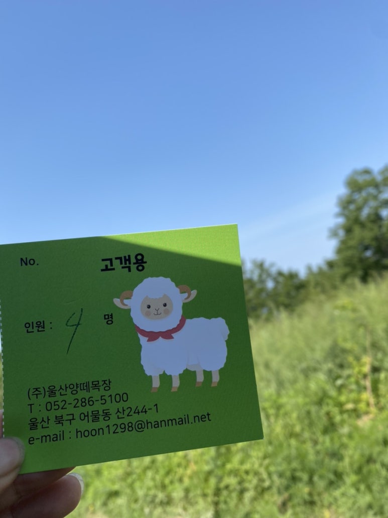 법인울산양떼목장 이미지