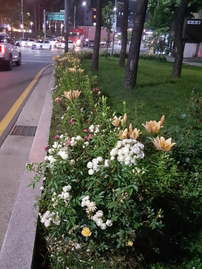 장충마트 이미지