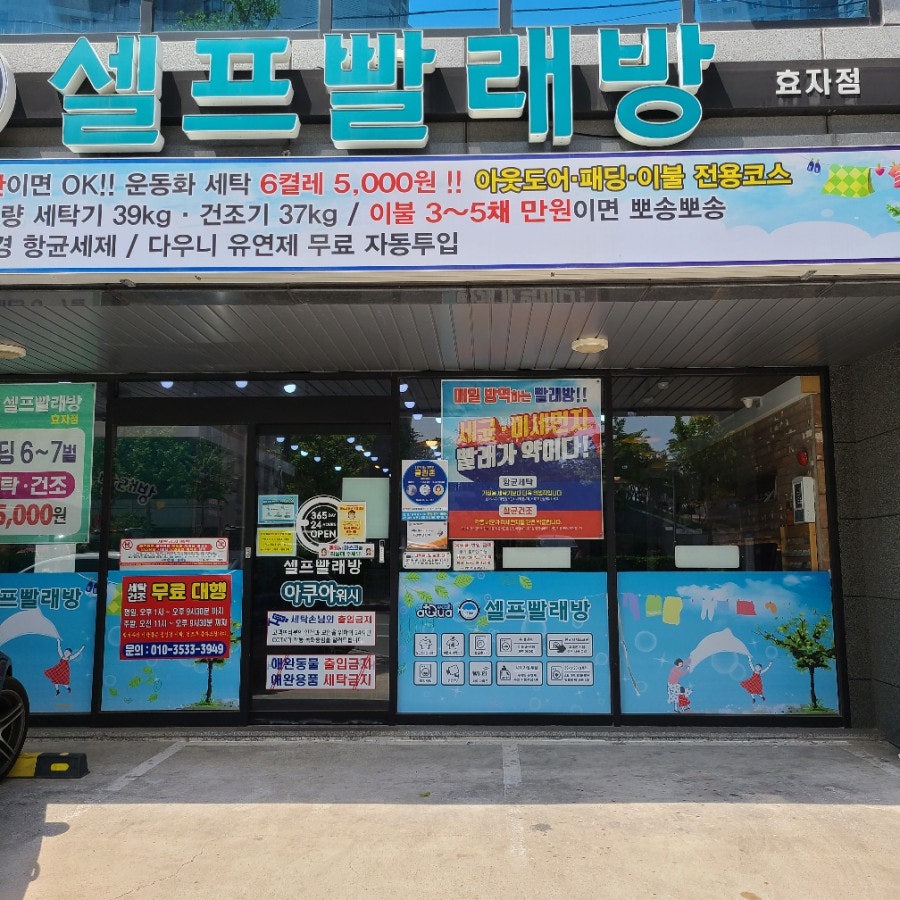 아쿠아워시포항 이미지