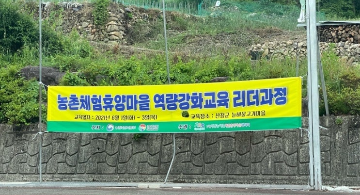 늘비물고기마을 이미지
