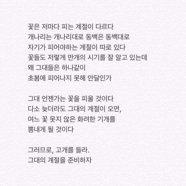 카페페트로스 이미지