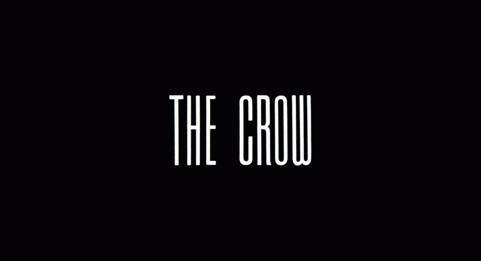 크로우(crow) 이미지