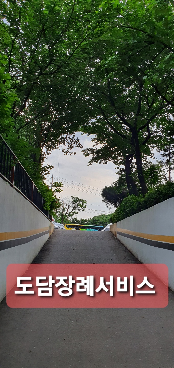도담상조 이미지