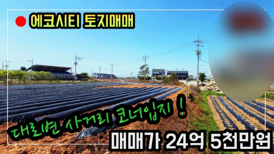 코너613 이미지