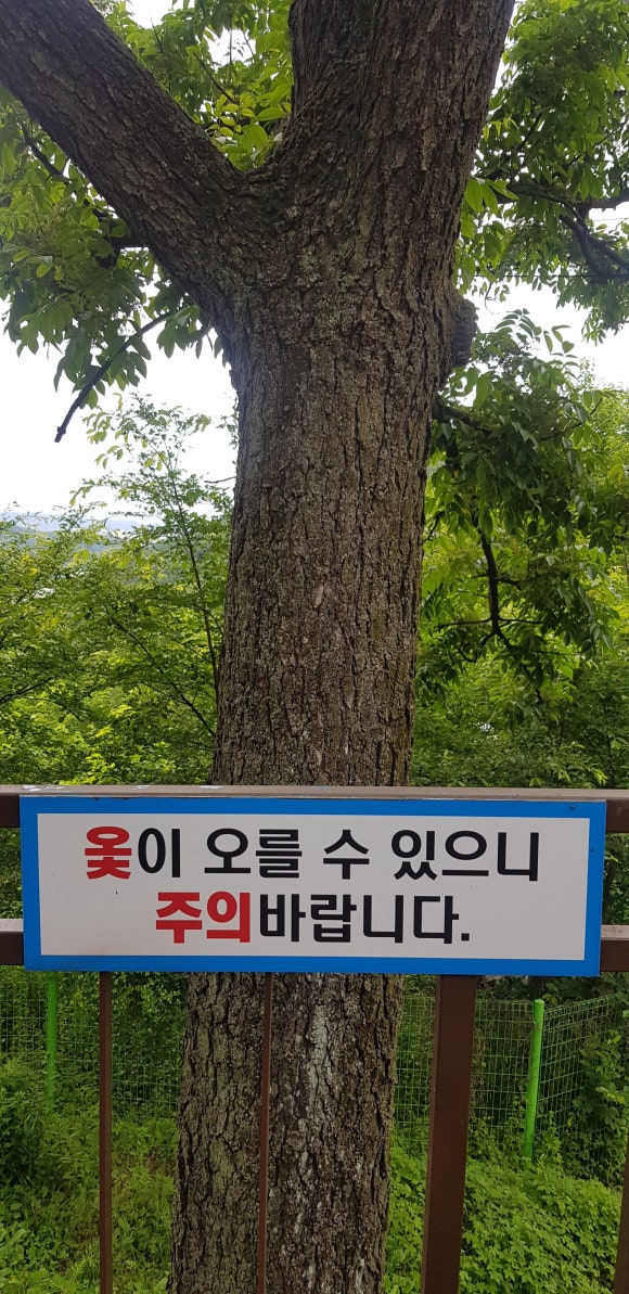 김상군변호사법률사무소 이미지