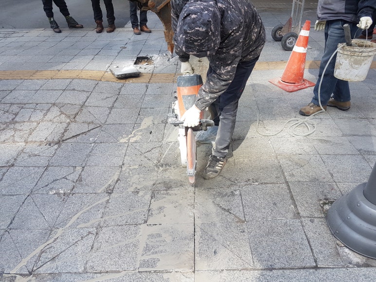 미도칼라 이미지