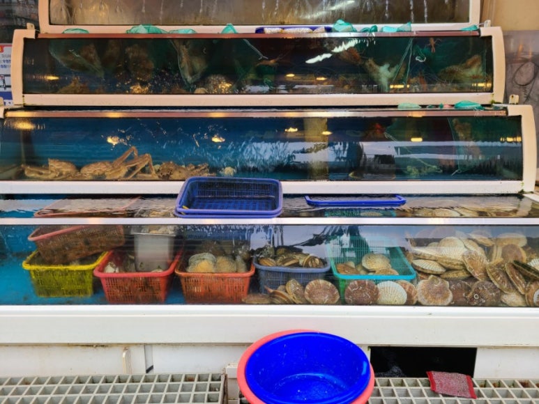 구울래찔래 이미지
