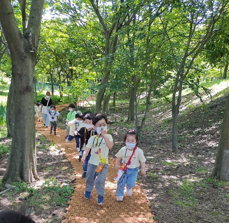 한라생태숲 유아숲체험원 이미지