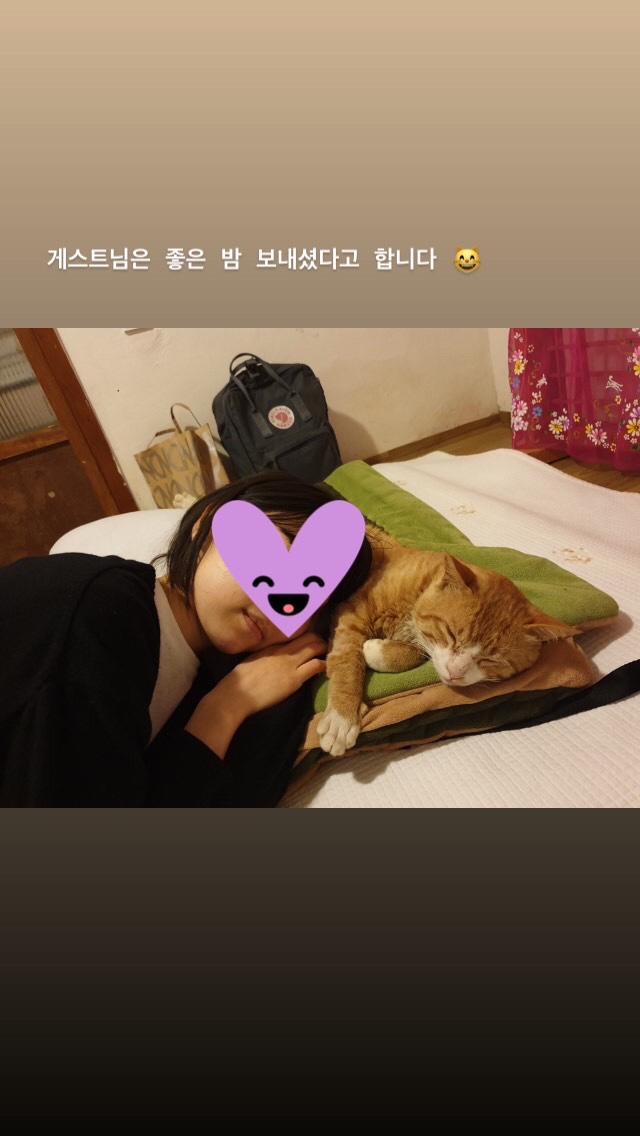 제주에내집 이미지