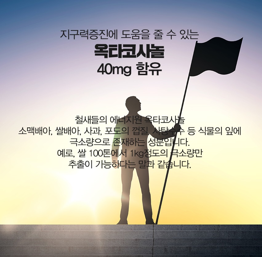브이프로젝트 이미지