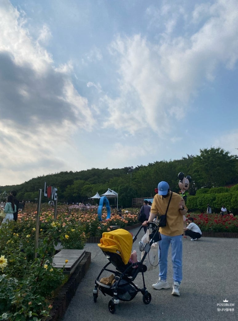 장미텔레콤 이미지