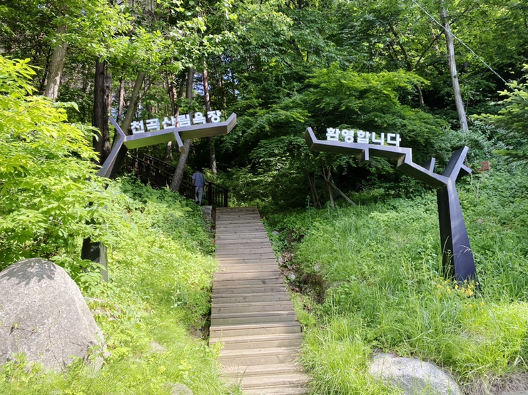 해오름 유아숲체험원 이미지