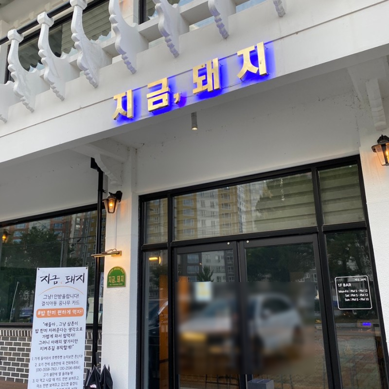지금,돼지 이미지