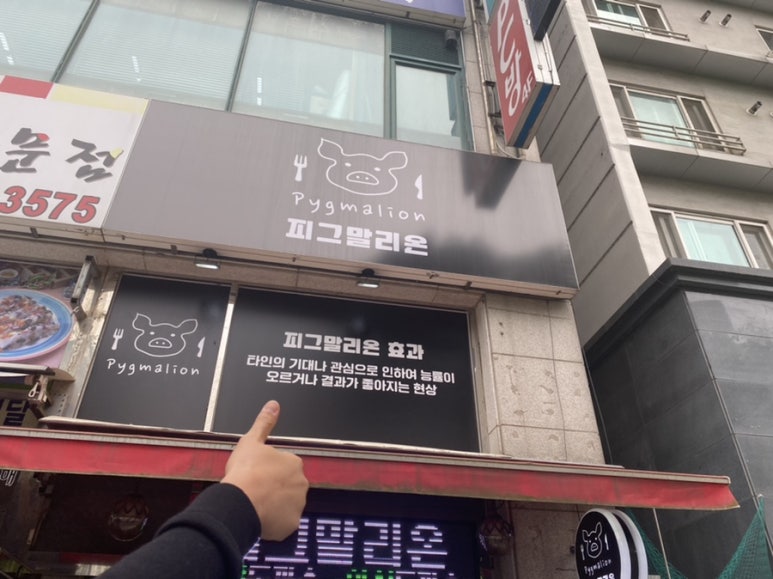 피그말리온호평 이미지