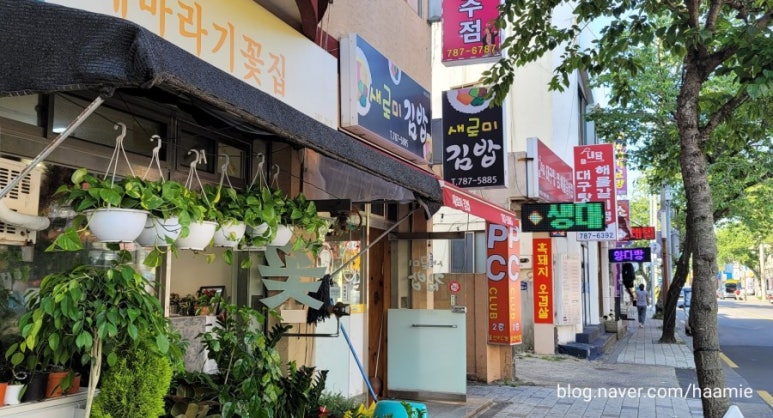 새로미김밥 이미지