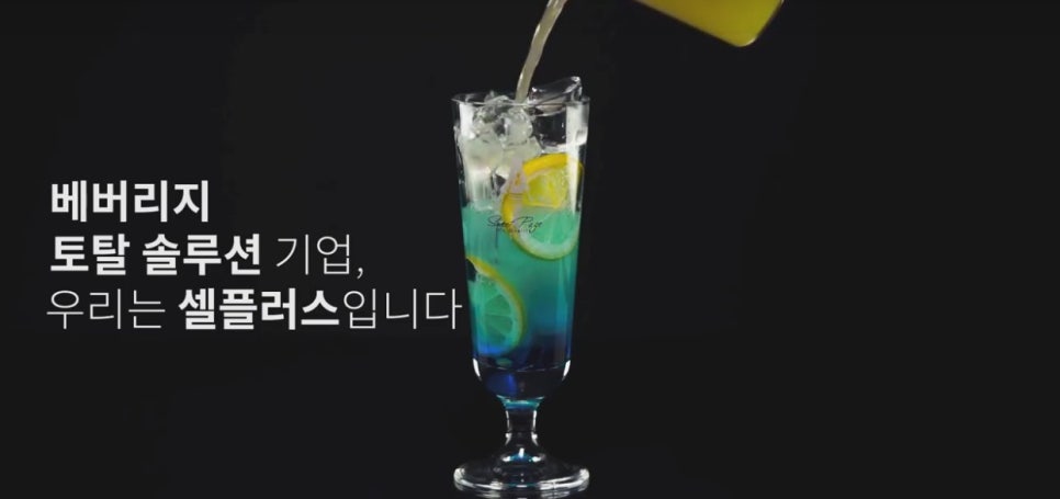 셀플러스스튜디오 이미지