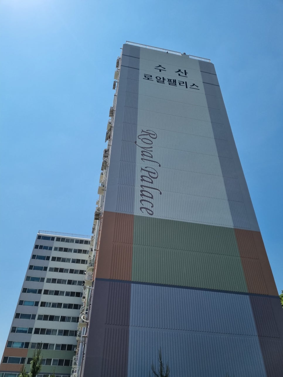 로얄수산 이미지