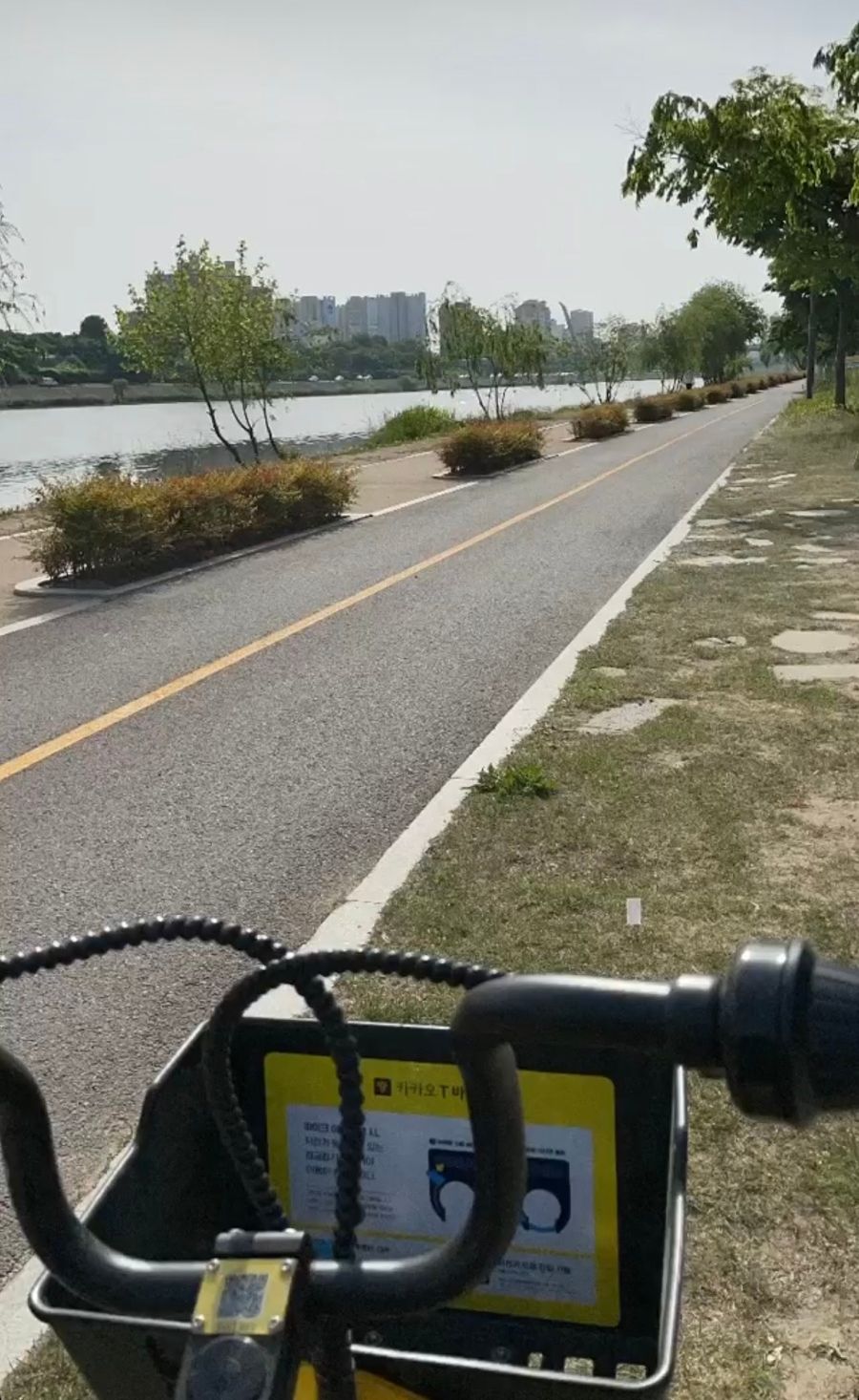 썰미장 이미지