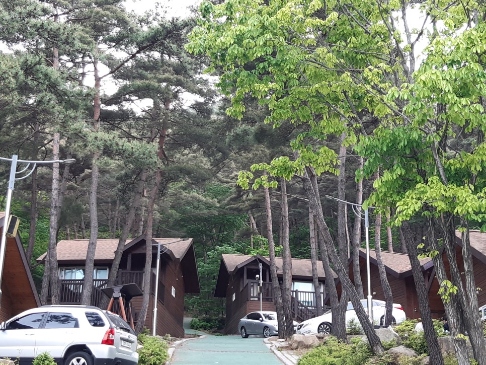창녕꿀벌농장 이미지