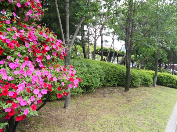 (주)성경건설 이미지