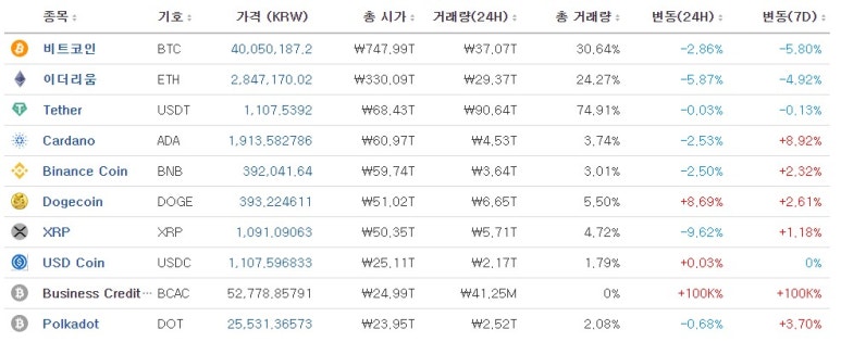리플비 이미지