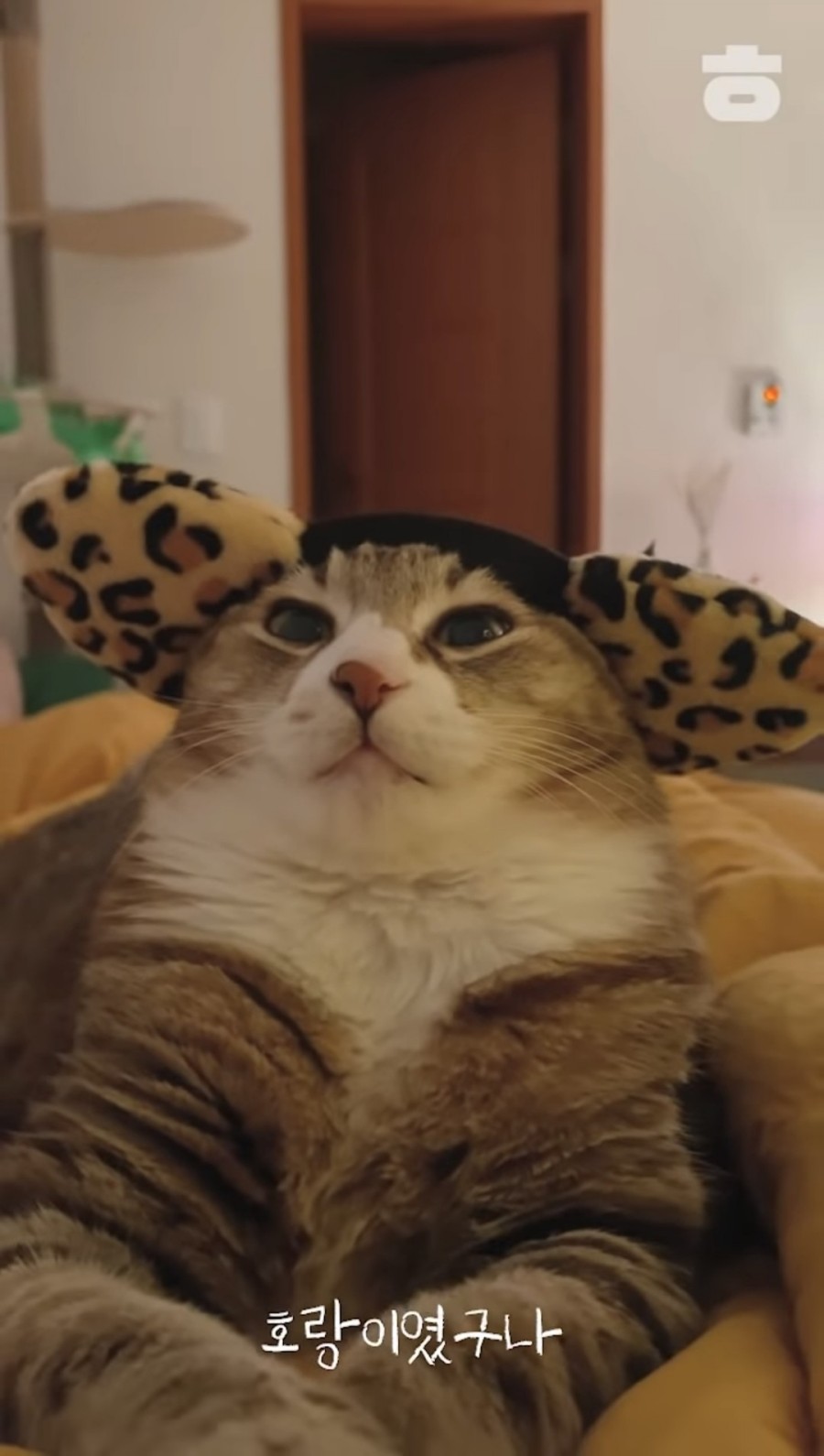 황금가라오케 이미지
