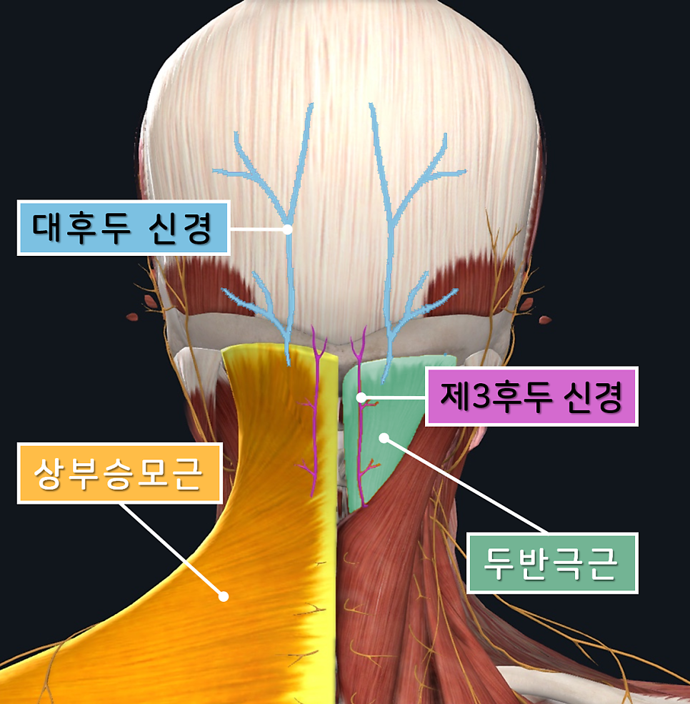 더바른한의원 이미지