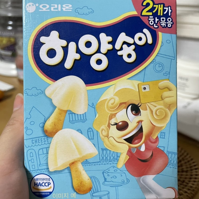 송이전집 이미지