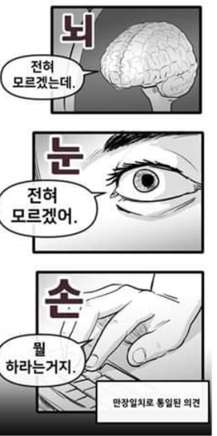 세화마트 이미지