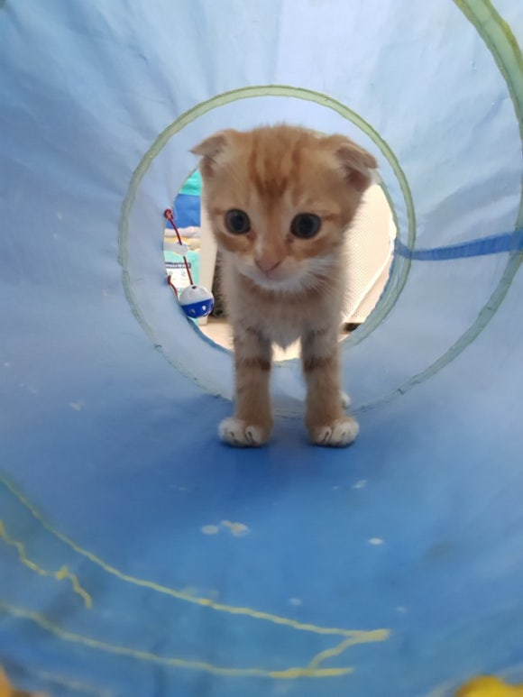 반달옷방 이미지