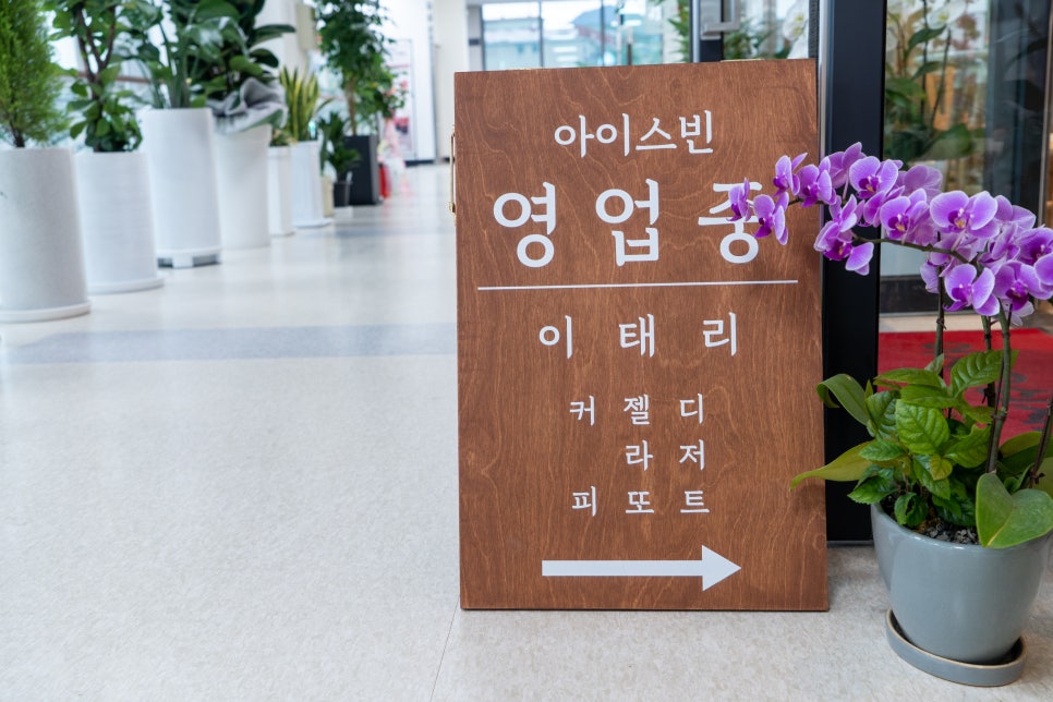 아이스빈 이미지