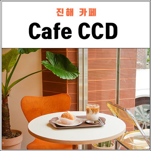카페씨씨디 이미지