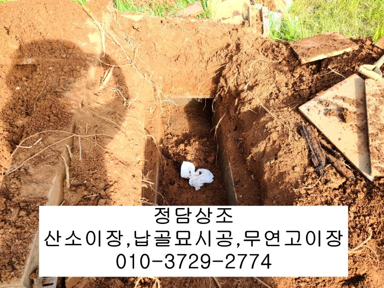 정담상조 이미지