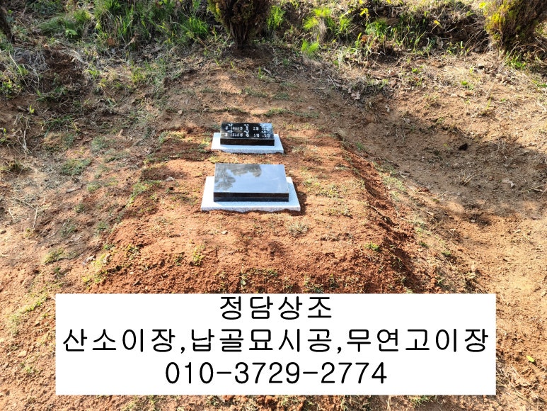정담상조 이미지