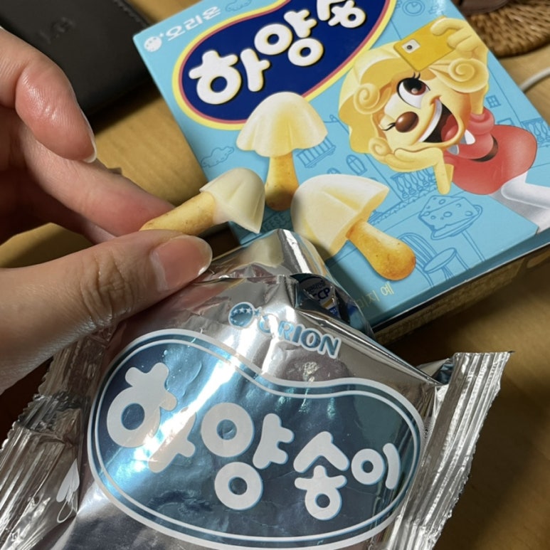 송이전집 이미지
