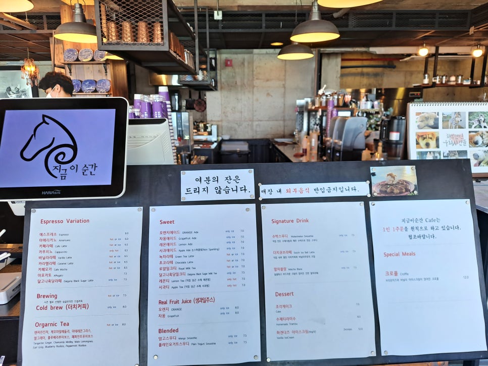 지금애월 이미지