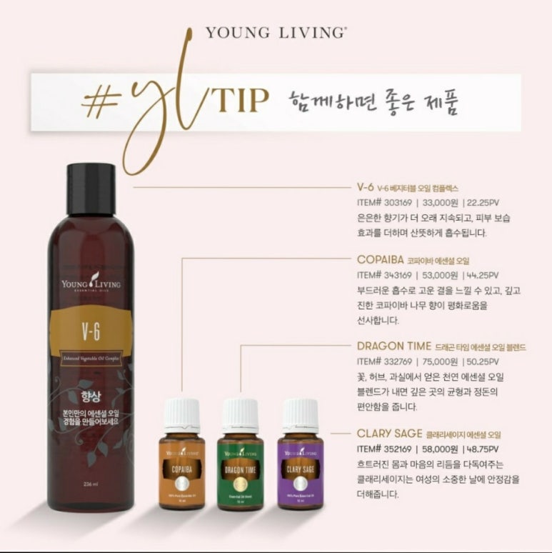 영아로마 이미지
