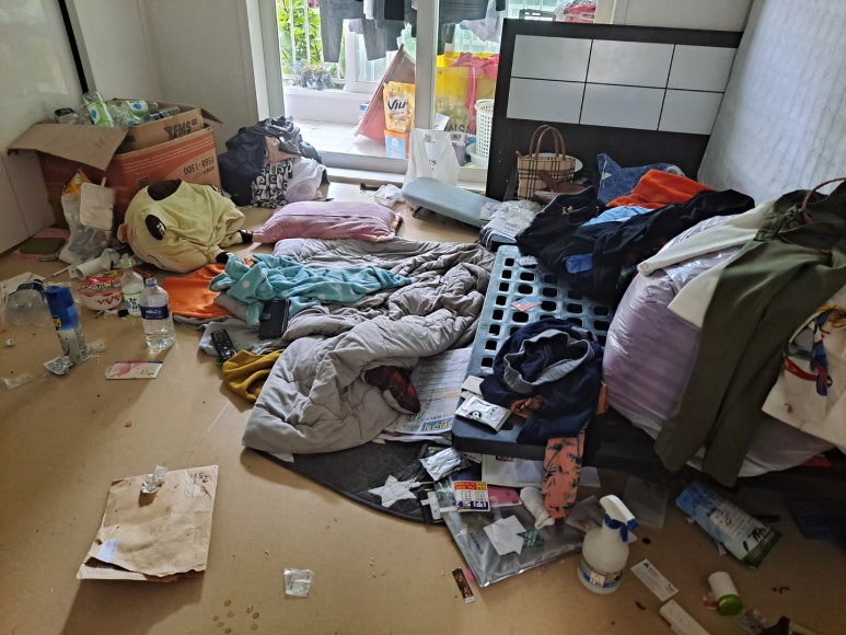 그린청소방역 이미지