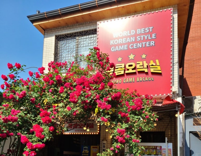 을지로 호프광장 이미지