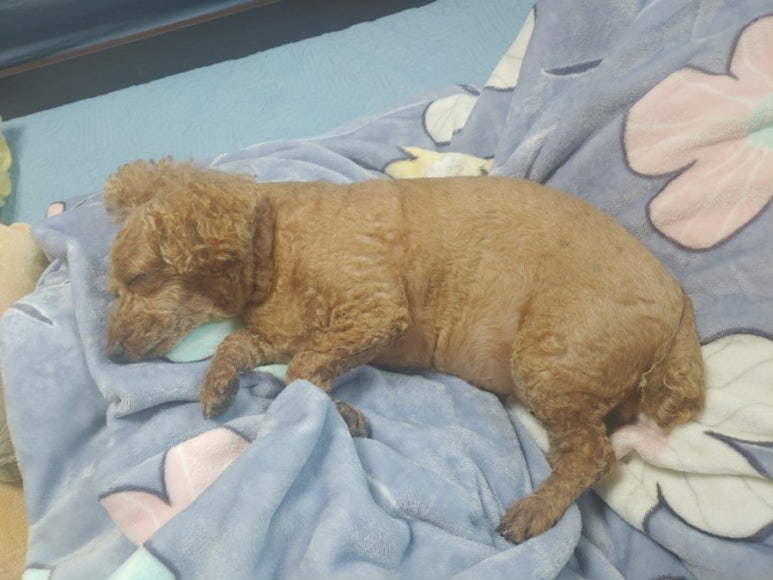 주식회사 몽실이 이미지