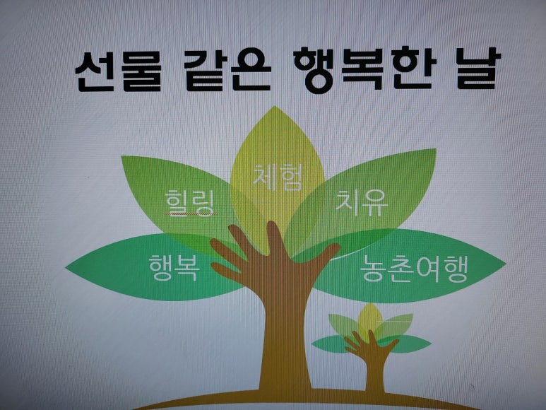 알로에사랑 영농법인 이미지